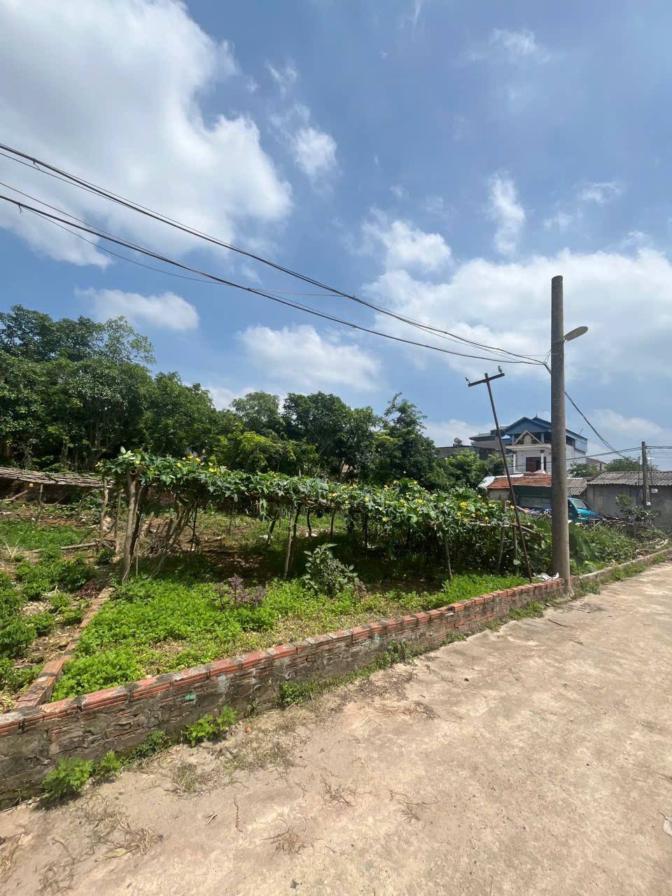Chủ nhờ bán 105m2, mt7m, 2.8 tỷ, Lập Trí, Minh Trí ( Kim Anh), Hà Nội.ô tô thông. - Ảnh 2