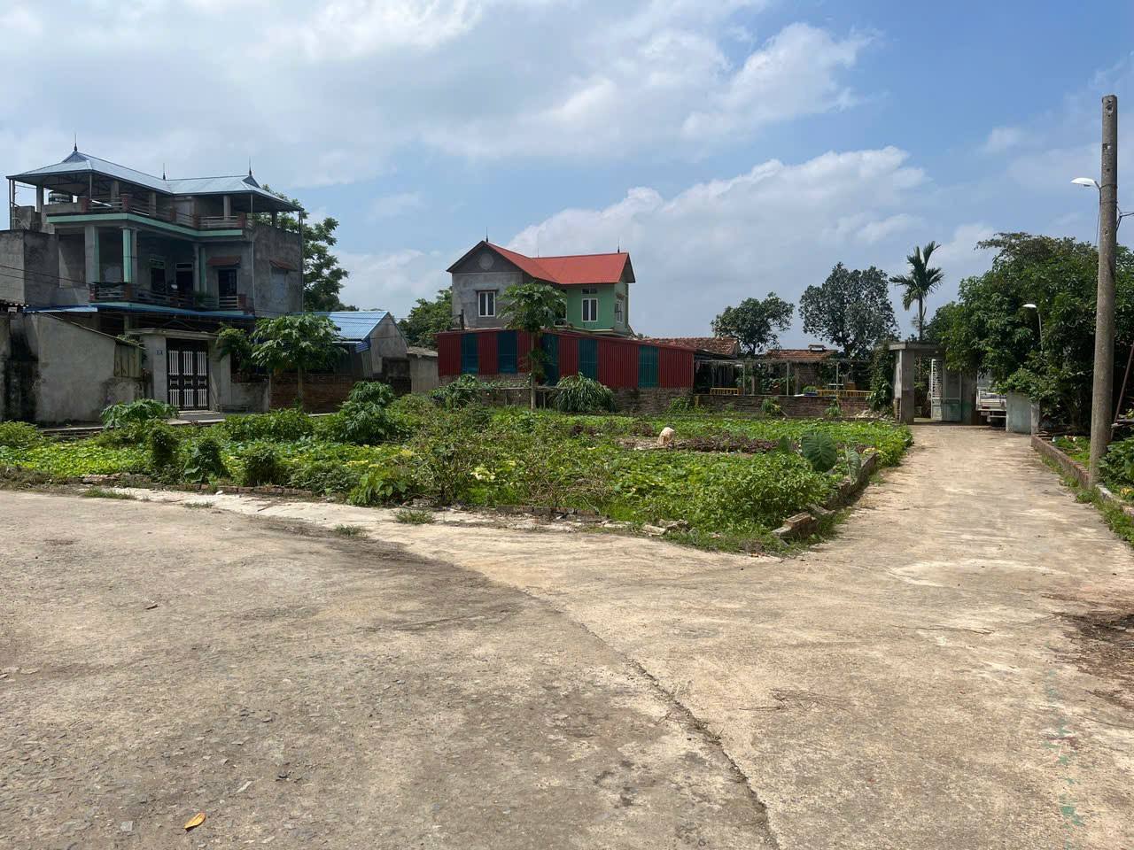 Chủ nhờ bán 105m2, mt7m, 2.8 tỷ, Lập Trí, Minh Trí ( Kim Anh), Hà Nội.ô tô thông. - Ảnh 1