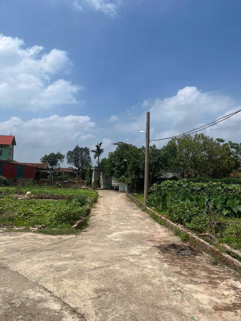 Chủ nhờ bán 105m2, mt7m, 2.8 tỷ, Lập Trí, Minh Trí ( Kim Anh), Hà Nội.ô tô thông. - Ảnh 4
