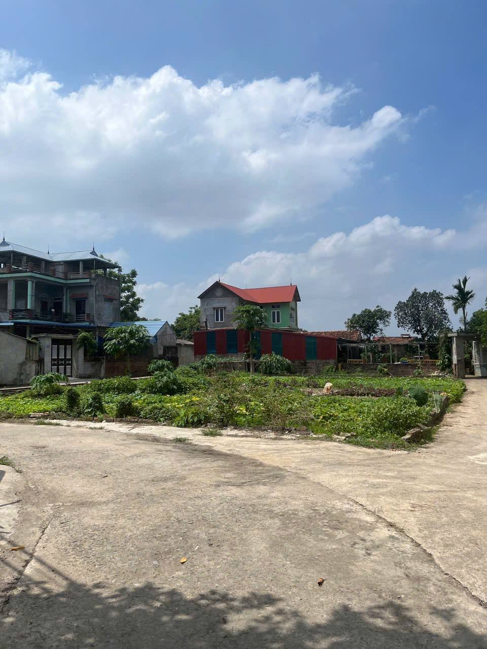 Chủ nhờ bán 105m2, mt7m, 2.8 tỷ, Lập Trí, Minh Trí ( Kim Anh), Hà Nội.ô tô thông. - Ảnh chính