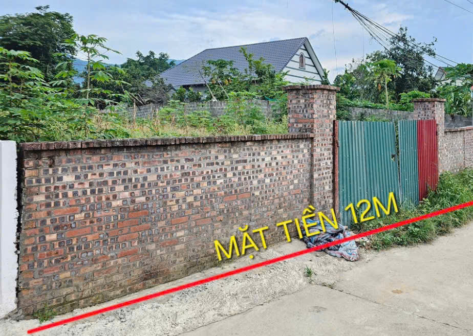 (CHÍNH CHỦ) Bán 405 m2 Thôn Luồng, xã Yên Trung, H. Thạch Thất cũ nay là Yên Xuân - Ảnh chính