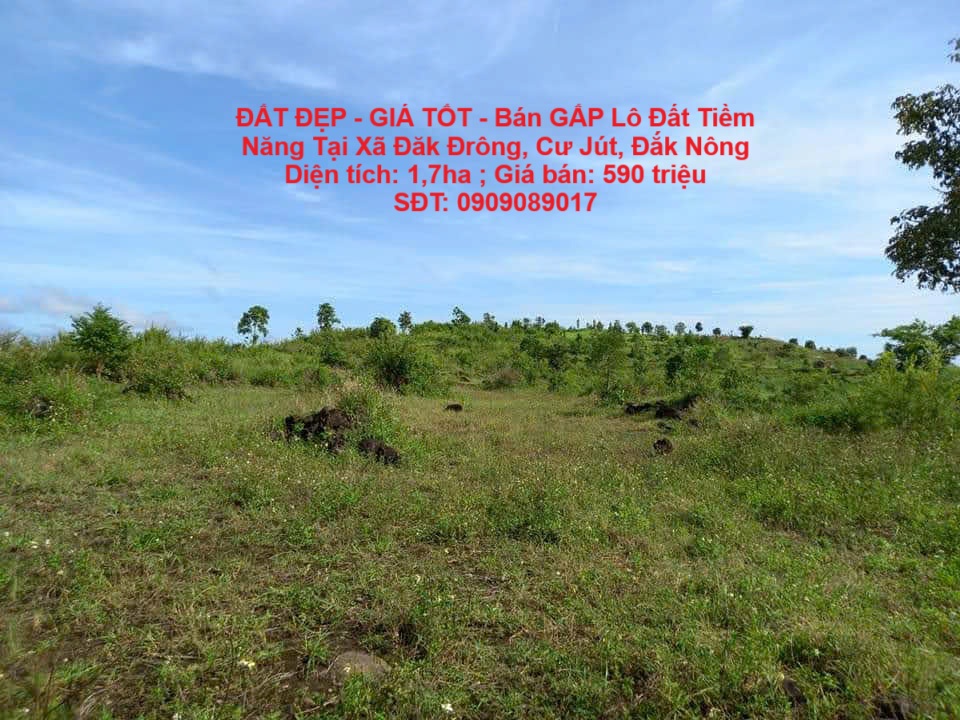 ĐẤT ĐẸP - GIÁ TỐT - Bán GẤP Lô Đất Tiềm Năng Tại Xã Đăk Đrông, Cư Jút, Đắk Nông - Ảnh chính