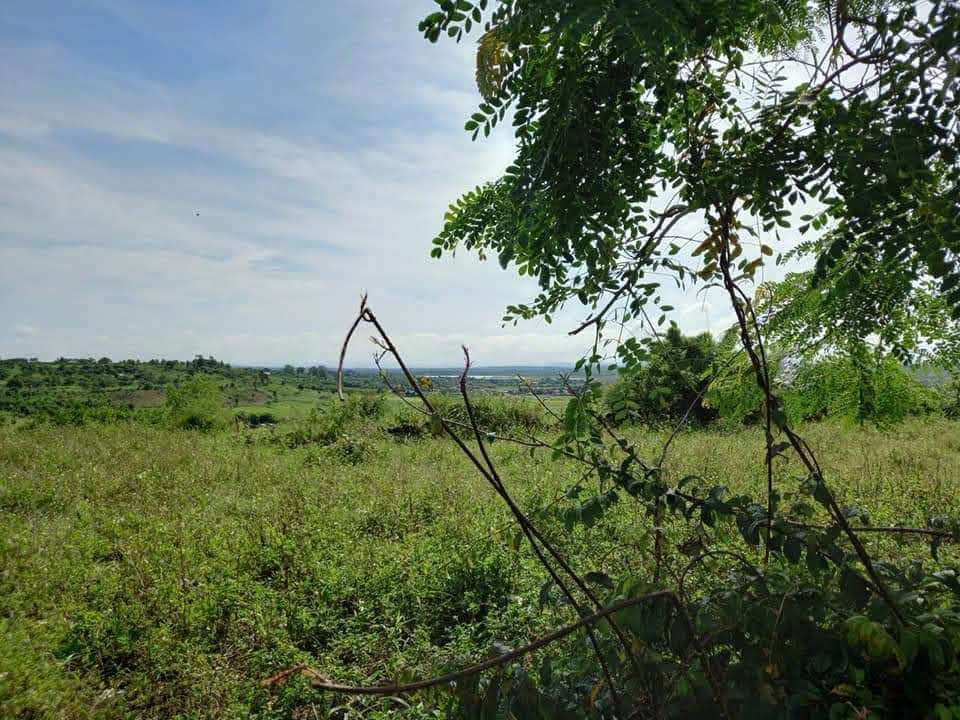 ĐẤT ĐẸP - GIÁ TỐT - Bán GẤP Lô Đất Tiềm Năng Tại Xã Đăk Đrông, Cư Jút, Đắk Nông - Ảnh 3