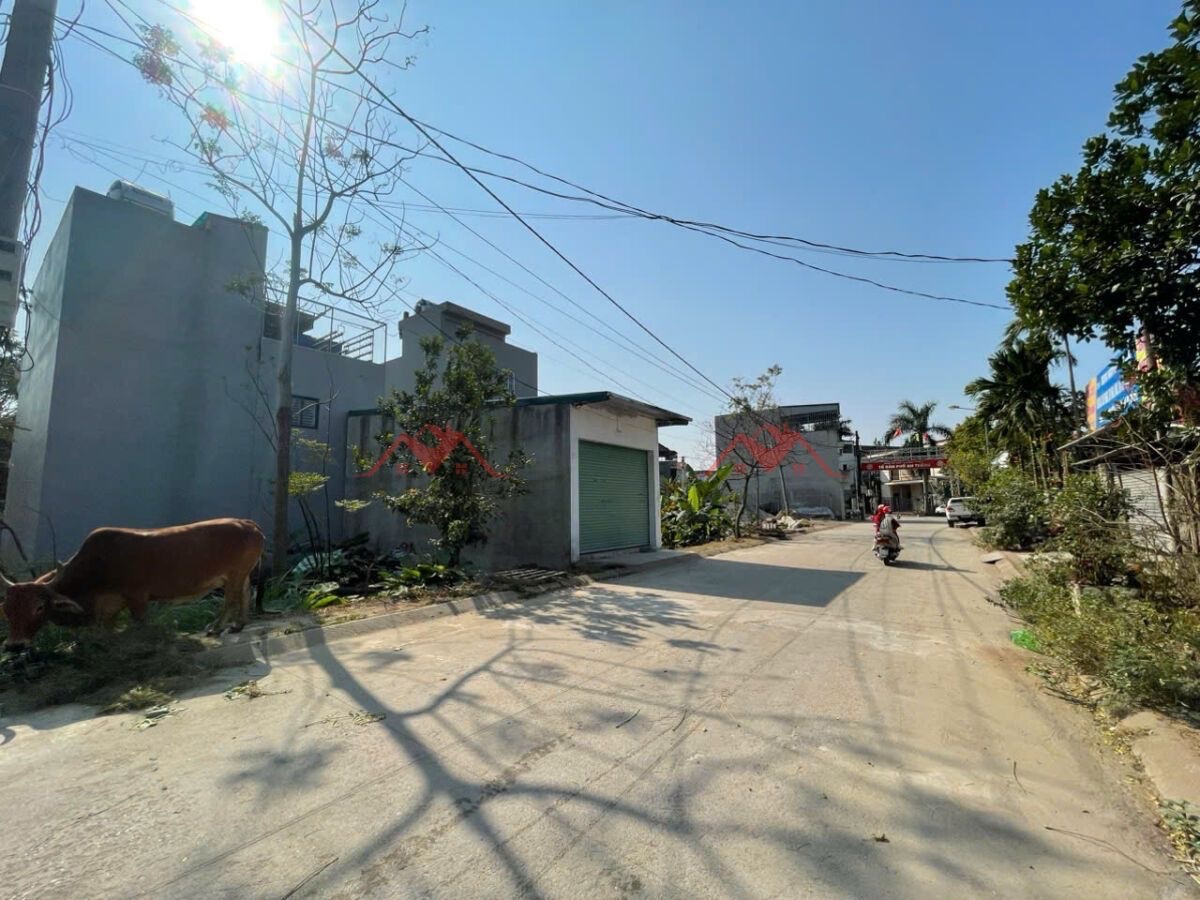 CHÍNH CHỦ CẦN BÁN LÔ ĐẤT 60M TẠI BIÊN GIANG-HÀ ĐÔNG-HÀ NỘI - Ảnh 2