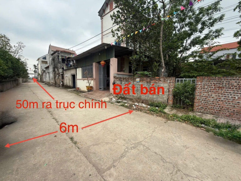 CHÍNH CHỦ CẦN BÁN LÔ ĐẤT SIÊU ĐẸP 64M TẠI PHỤNG CHÂU-PHƯỜNG CHƯƠNG MỸ-HÀ NỘI - Ảnh chính