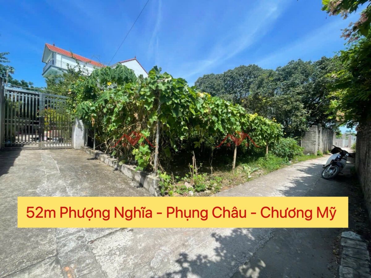 CHÍNH CHỦ CẦN BÁN LÔ ĐẤT 52M TẠI PHỤNG CHÂU-CHƯƠNG MỸ-HÀ NỘI - Ảnh chính
