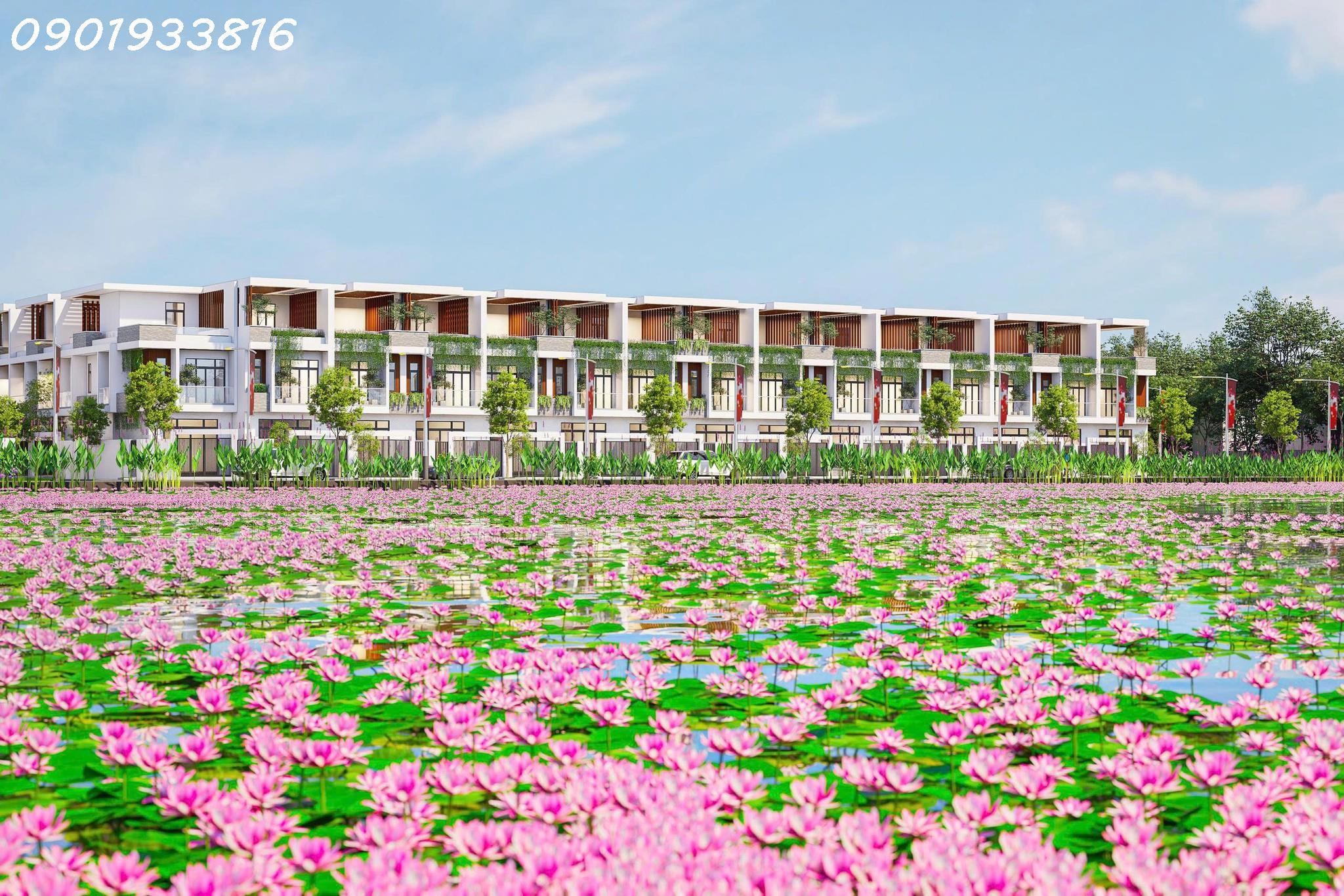 Đất Nền Tân Hội: Giá Trị Sơ Khai "Bất Ngờ" - Tiềm Năng Tăng Giá Vượt Mọi Giới Hạn Tại Phan Rang! - Ảnh 2