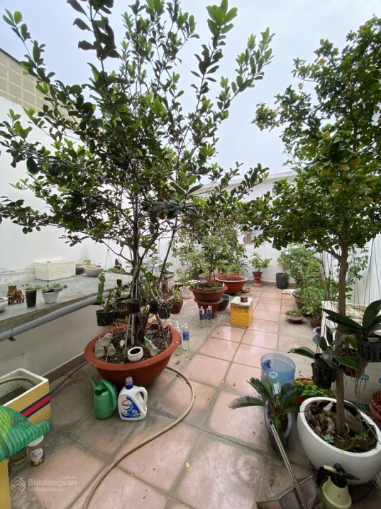 Nhà Tạ Quang Bửu- Cao Lổ, Quận 8 đường 12m diện tích khủng 80m2 giá chỉ hơn 13 tỷ - Ảnh 4