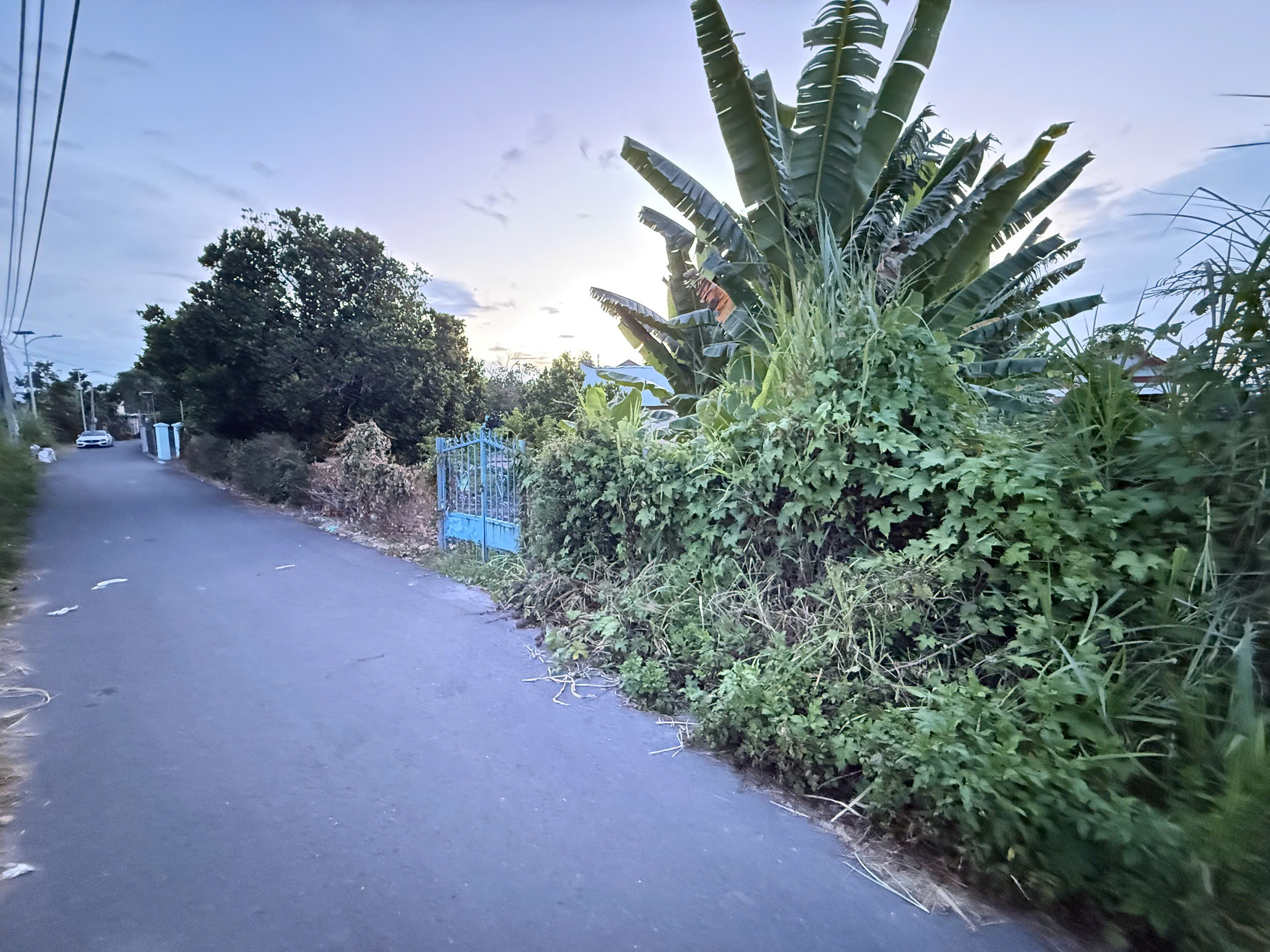 Đất nhà cắt bán mặt tiền đường Thành Hồ - Diên Phước - Diên Khách  Dt: 350m2( 70m2 thổ) Ngang 12m - Ảnh 1
