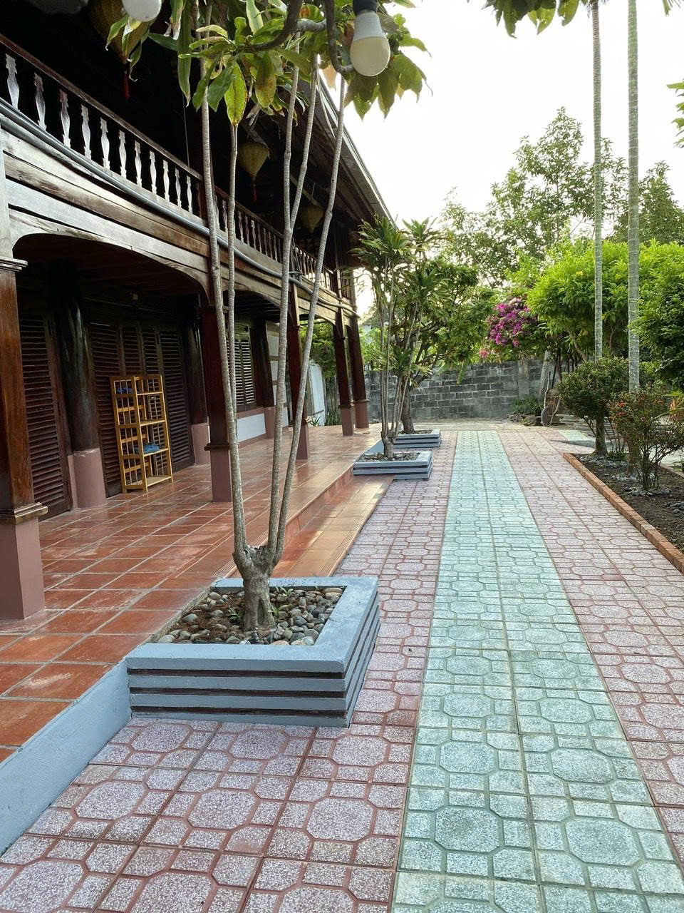 CÓ 2 LÔ ĐẤT CẦN CHO THUÊ TẠI ĐƯỜNG TẠO LỰC, TÂN HIỆP, TÂN UYÊN, , PHÚ GIÁO, BẦU BÀNG - Ảnh chính