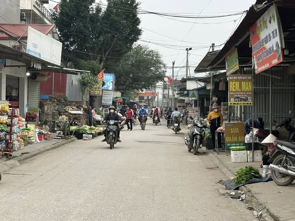 136,6m phú vinh-phú nghĩa-chương mỹ-hà nội - Ảnh 1
