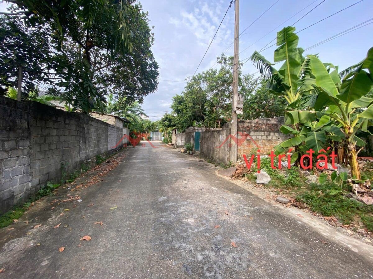 CHÍNH CHỦ CẦN BÁN LÔ ĐẤT 120M TẠI HOÀNG VĂN THỤ-CHƯƠNG MỸ-HÀ NỘI - Ảnh 1