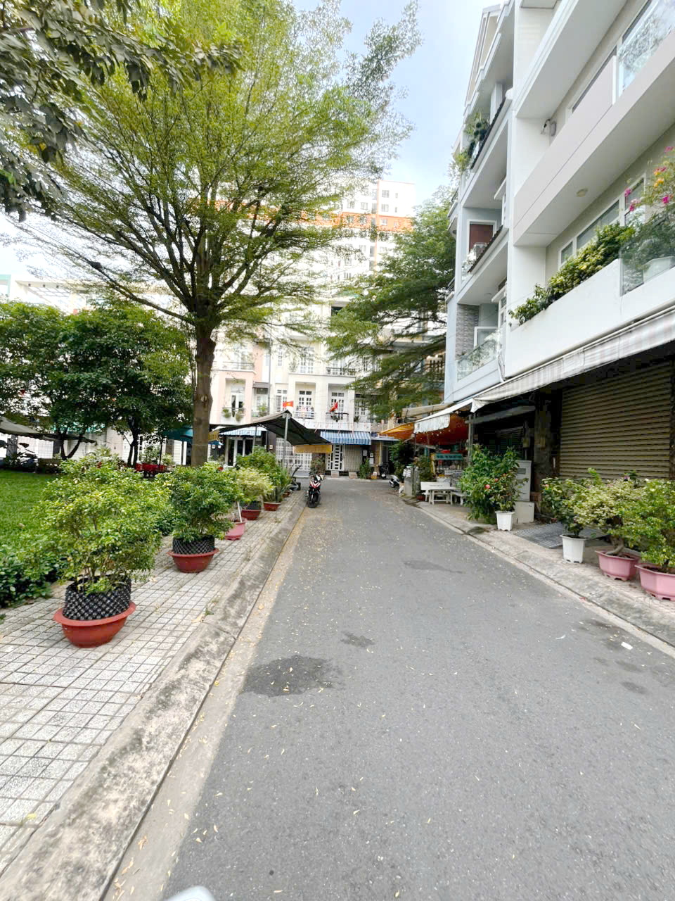 Bán 2 căn đôi ( 8 x16m ) KDC Bông Sao P5Q8, Giá 25 Tỷ/2 căn - Ảnh 3