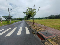 Bán gấp lô đất đẹp khu Đức Phát 1 – Vị trí đắc địa, giá tốt nhất khu vực - Ảnh 3