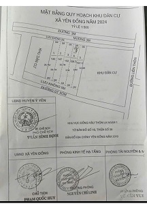 CẦN BÁN GẤP LÔ ĐẤT ĐẸP – LÀNG LA NGẠN, XÃ YÊN ĐỒNG, HUYỆN Ý YÊN, NAM ĐỊNH - Ảnh chính