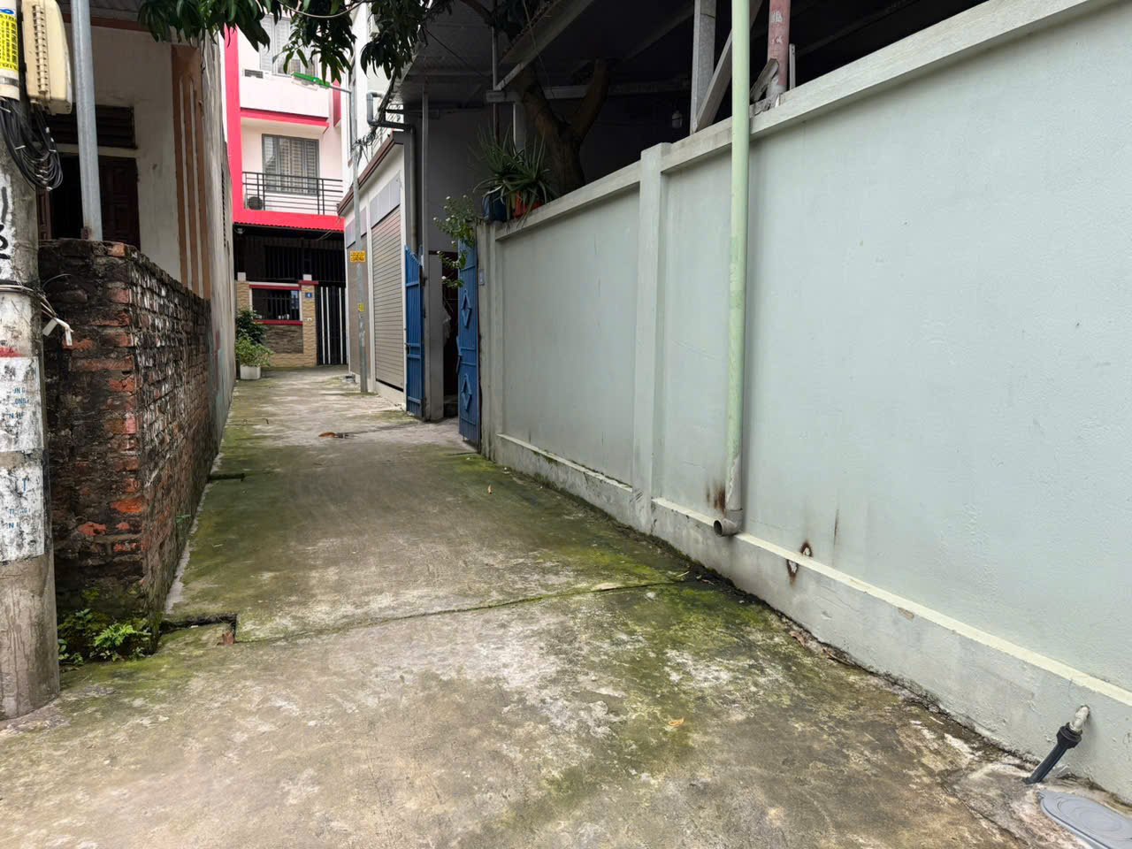 Bán Đất Tráng Việt - Mê Linh - Hn. Dt 51m2 - Giá 1,87 Tỷ. Giáp Chân Cầu Thượng Cát - Ảnh 2