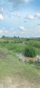 BÁN ĐẤT SỔ ĐỎ 938,7M² - ĐƯỜNG BÙI THỊ XUÂN, PHƯỜNG TÂN BÌNH, DĨ AN - GIÁ CHỈ 6,5 TỶ - Ảnh 2