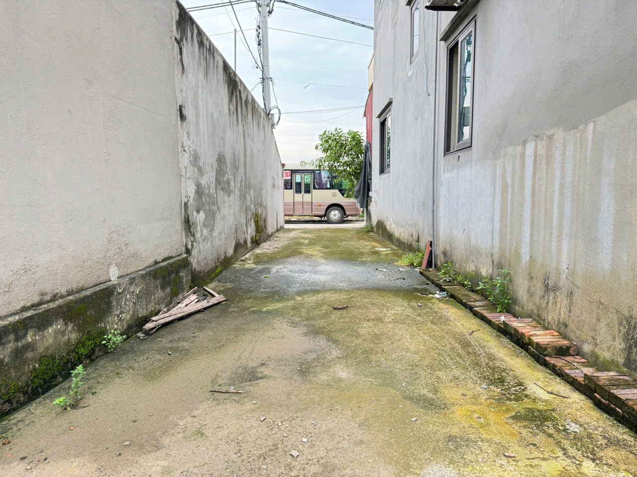 Bán 45m2 Đất Bạch Đa Kim Hoa – Mê Linh, Đường Oto Vào Đất, Giáp Đường Vành Đai 4 - Ảnh 1