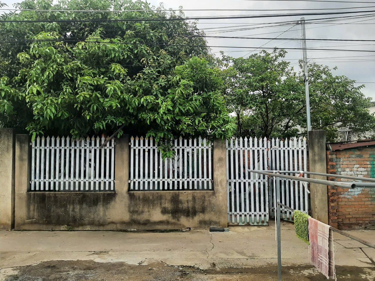 Bán Đất Tặng Nhà gần Cây Xăng Bình Hòa (Tân Bình) P.Tân Triều Mới Sáp Nhập - Ảnh 1