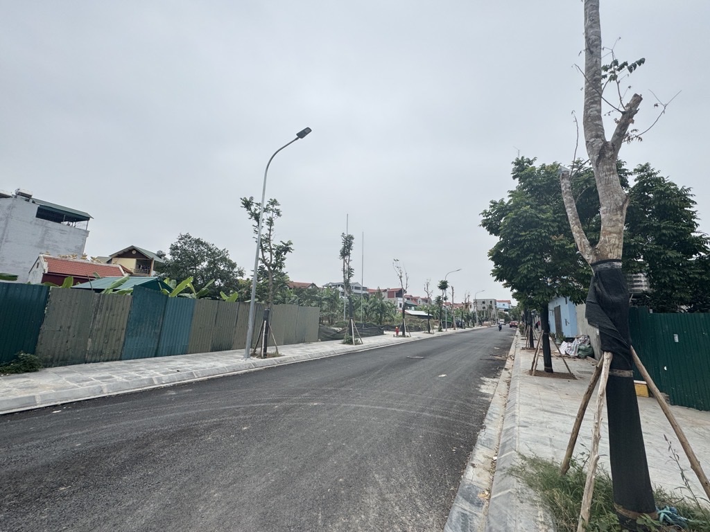 BÁN LÔ ĐẤT ĐẸP – MAI LÂM, ĐÔNG ANH – DIỆN TÍCH 43M² – NGÕ Ô TÔ – GIÁ CHÀO 4,6 TỶ - Ảnh chính