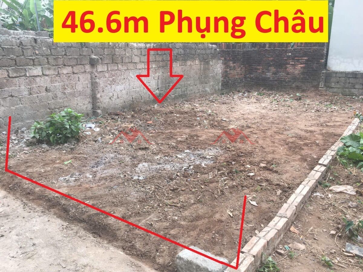 CHÍNH CHỦ CẦN BÁN LÔ ĐẤT 46,6M TẠI PHƯỢNG ĐỒNG-PHỤNG CHÂU-CHƯƠNG MỸ-HÀ NỘI - Ảnh chính