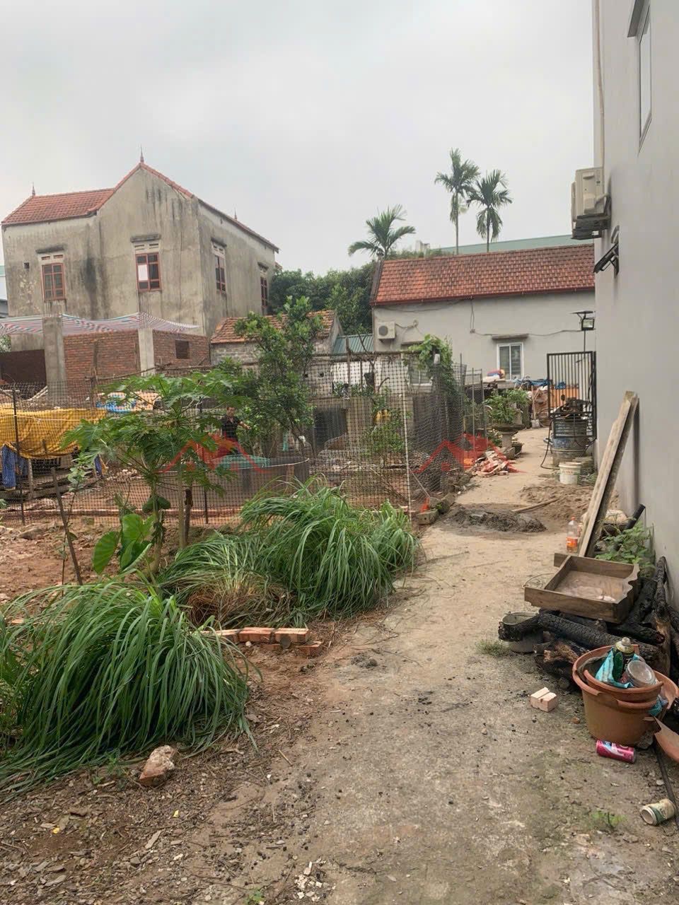 CHÍNH CHỦ CẦN BÁN LÔ ĐẤT 46,6M TẠI PHƯỢNG ĐỒNG-PHỤNG CHÂU-CHƯƠNG MỸ-HÀ NỘI - Ảnh 1