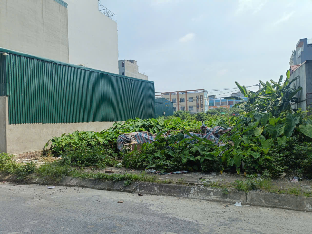 ĐẤT D.VỤ 5,5HA TRẠM TRÔI  140M, VỈA HÈ, 2 ÔTÔ TRÁNH  GIÁ 133 Tr/m2 - Ảnh chính
