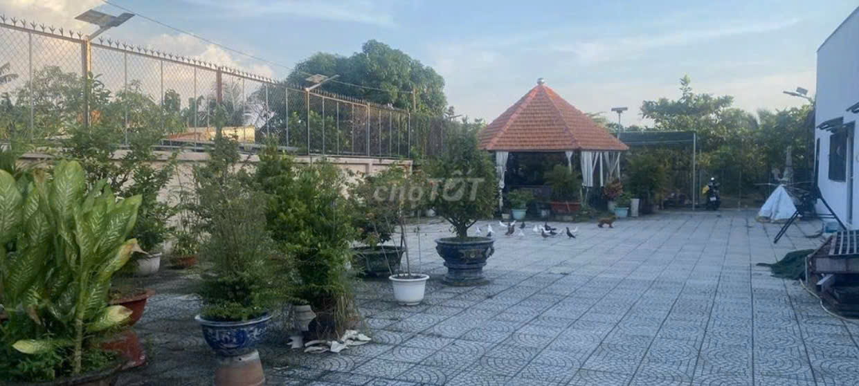 Bán 1508m2 đất thổ cư đã xây nhà vườn cấp 4 kiên cố, Hẻm xe hơi Củ Chi - Ảnh 2