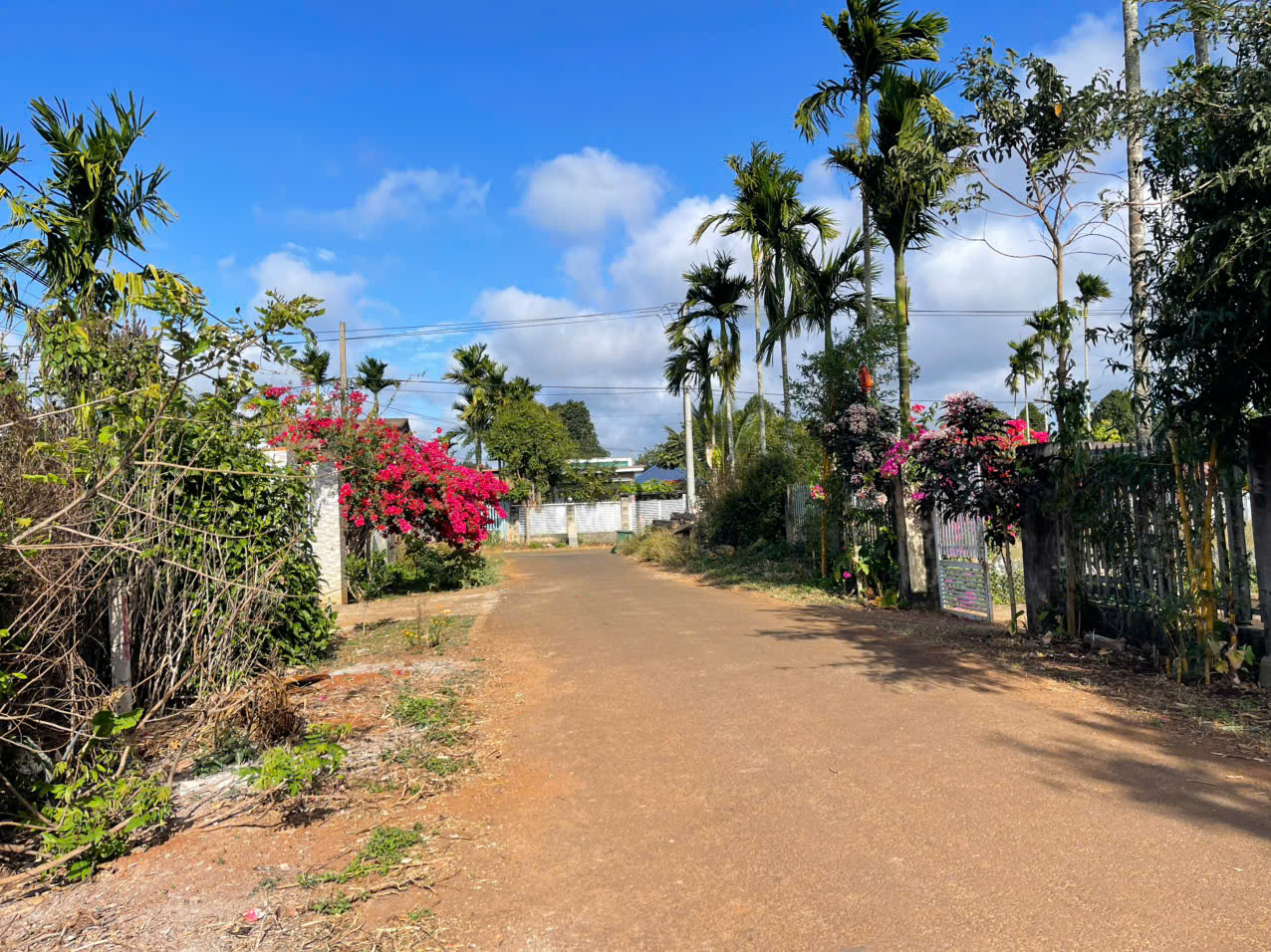Mình Cần Bán 2 Lô Đất, Phường Tân Lập, Đắk Lắk. ( Hoà Thắng cũ)  Đak Lắk - Ảnh 3