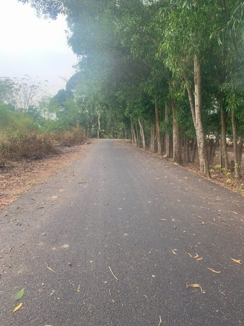 Bán Đất Phân lô đường 8m Phạm Văn Cội, giao Bà Thiên, 5x25m, full thổ cư, tiện xây, 1,6 tỷ - Ảnh 1