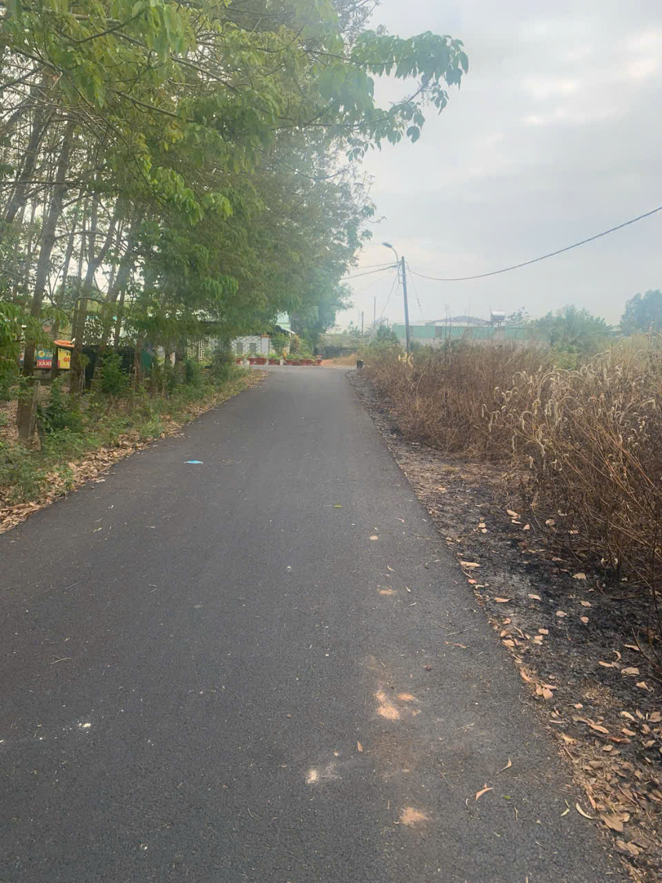 Bán Đất Phân lô đường 8m Phạm Văn Cội, giao Bà Thiên, 5x25m, full thổ cư, tiện xây, 1,6 tỷ - Ảnh 2