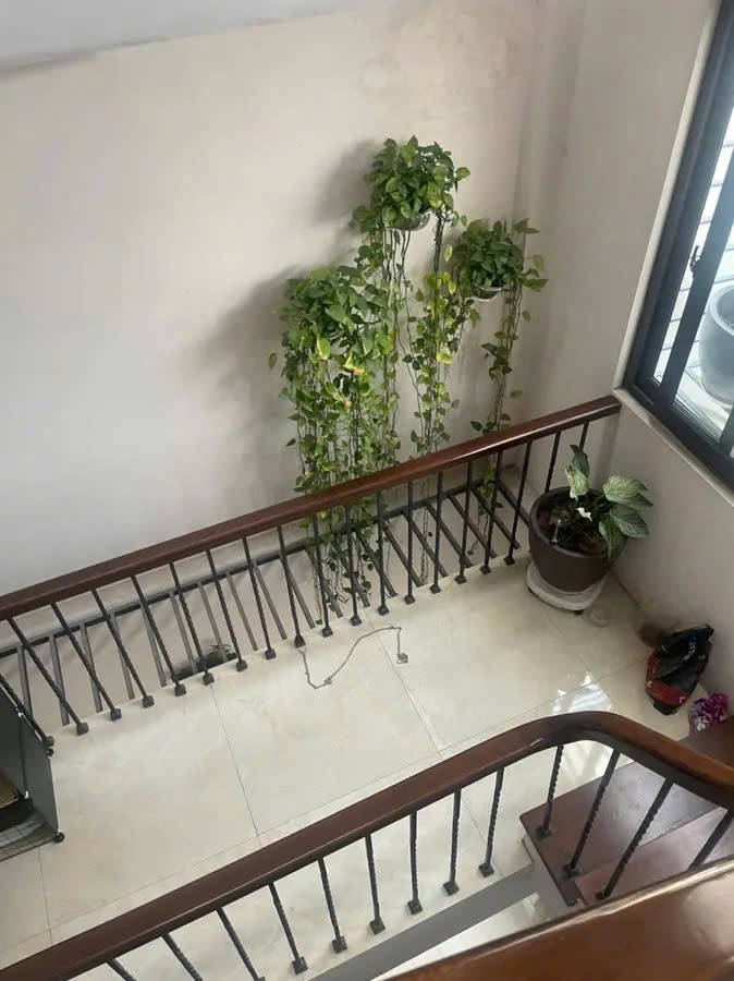 NHÀ ĐẸP DÂN XÂY Phố  Gia Quất 54m2 X 5 tầng mặt tiền 3.7m, 8.3 tỷ Long Biên. - Ảnh 3