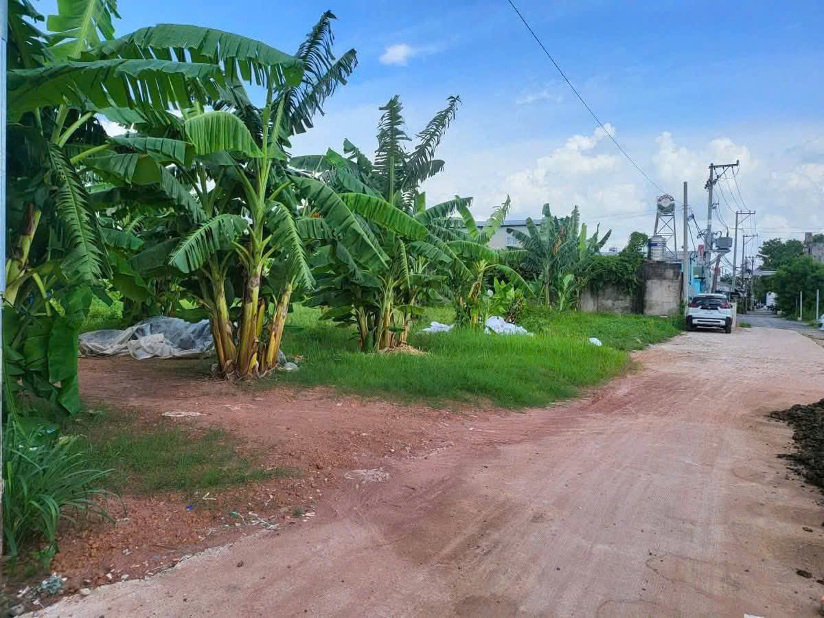 HÀNG NÓNG HỔI – ĐẤT ĐẸP NGAY CHỢ ĐẦU MỐI XUÂN THỚI THƯỢNG, HÓC MÔN - Ảnh 1
