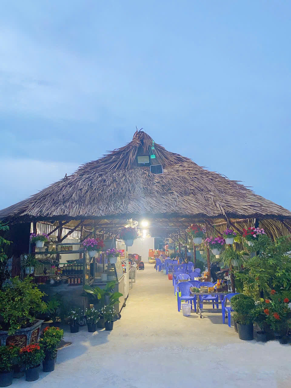 LÔ ĐẤT ĐẸP  - CẦN BÁN LÔ ĐẤT Tại Đường Ba Sa Gò Mối Đức Lập Hạ, tây Ninh. - Ảnh 4