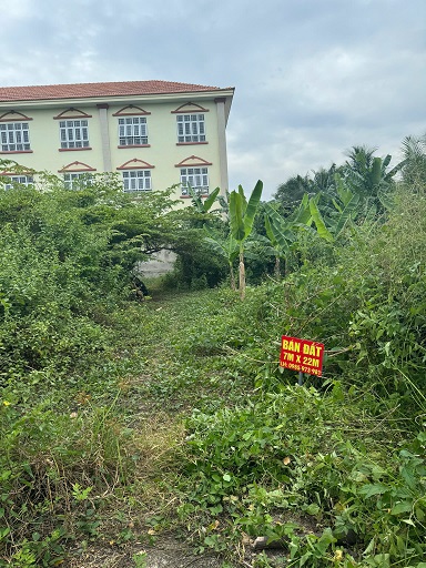 BÁN ĐẤT XÃ AN PHƯỚC – CHÂU THÀNH – BẾN TRE - Ảnh 2