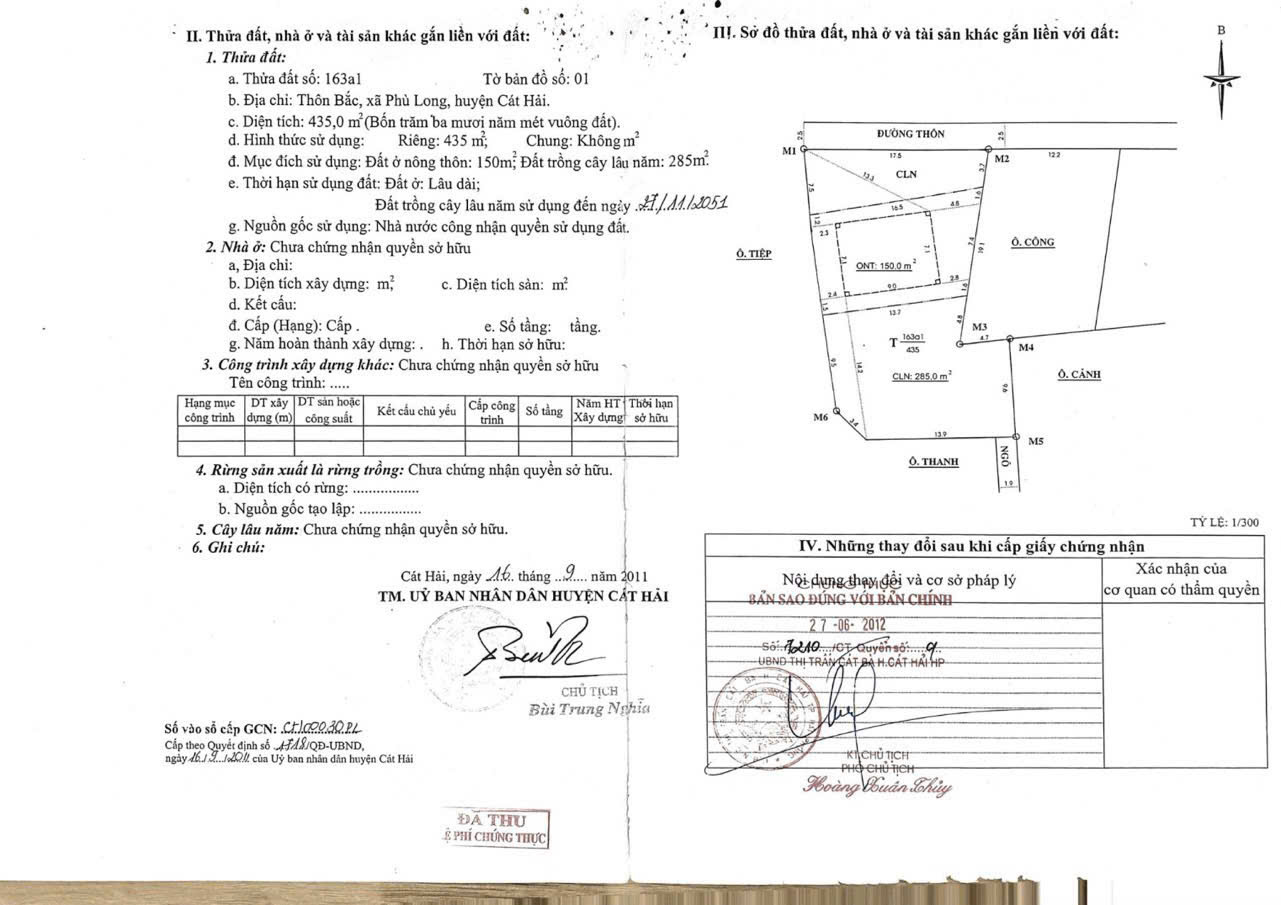 ĐẤT ĐẸP - GIÁ RẺ- Bán GẤP Lô Đất ĐẶC KHU CÁT HẢI - HẢI PHÒNG,  ĐẤT THỔ CƯ (ĐẢO CÁT BÀ) - Ảnh 2