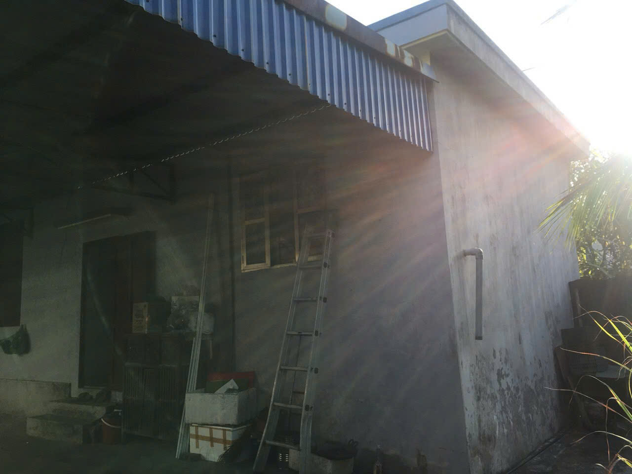 ĐẤT ĐẸP - GIÁ RẺ- Bán GẤP Lô Đất ĐẶC KHU CÁT HẢI - HẢI PHÒNG,  ĐẤT THỔ CƯ (ĐẢO CÁT BÀ) - Ảnh 4