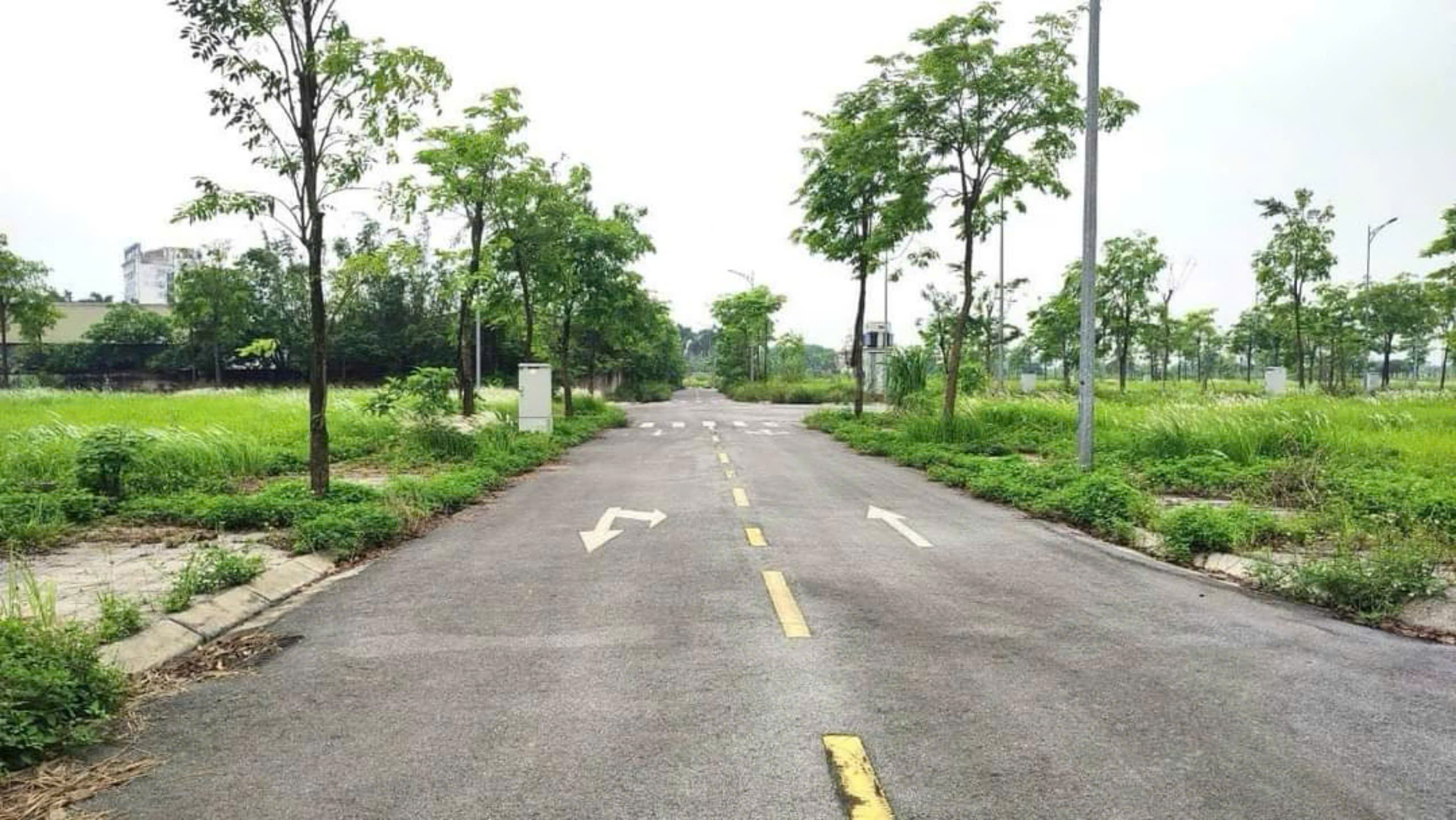 ✅ Bán đất tái định cư Đông Nam Cổ Dương - Lô khe thoáng 3 mặt tiền - Mặt đường đôi - Ảnh 1