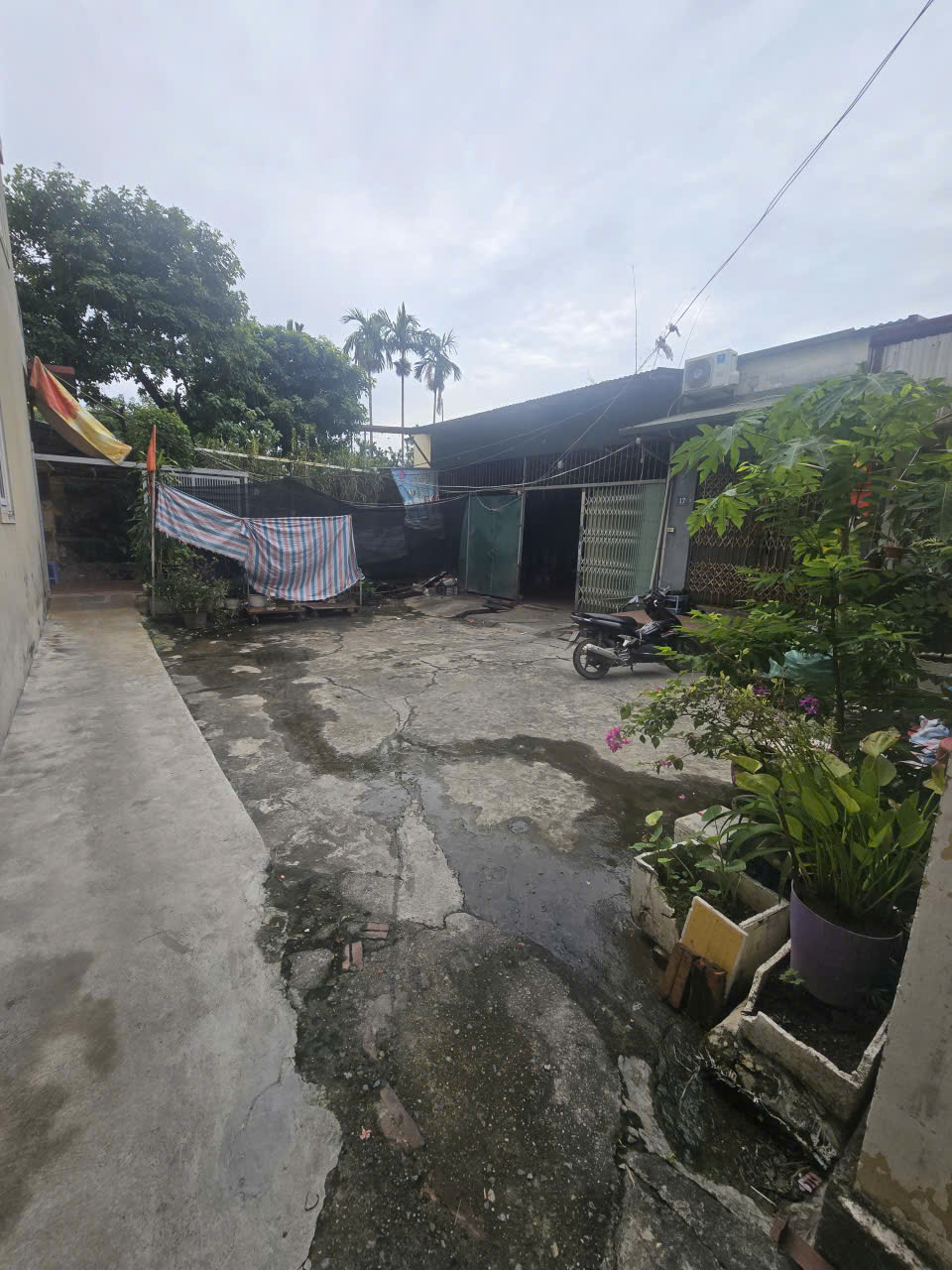 Bán đất Phương Canh, 70m, Lô góc 3 thoáng, MT 12m, gần ô tô, giá F0 - Ảnh chính