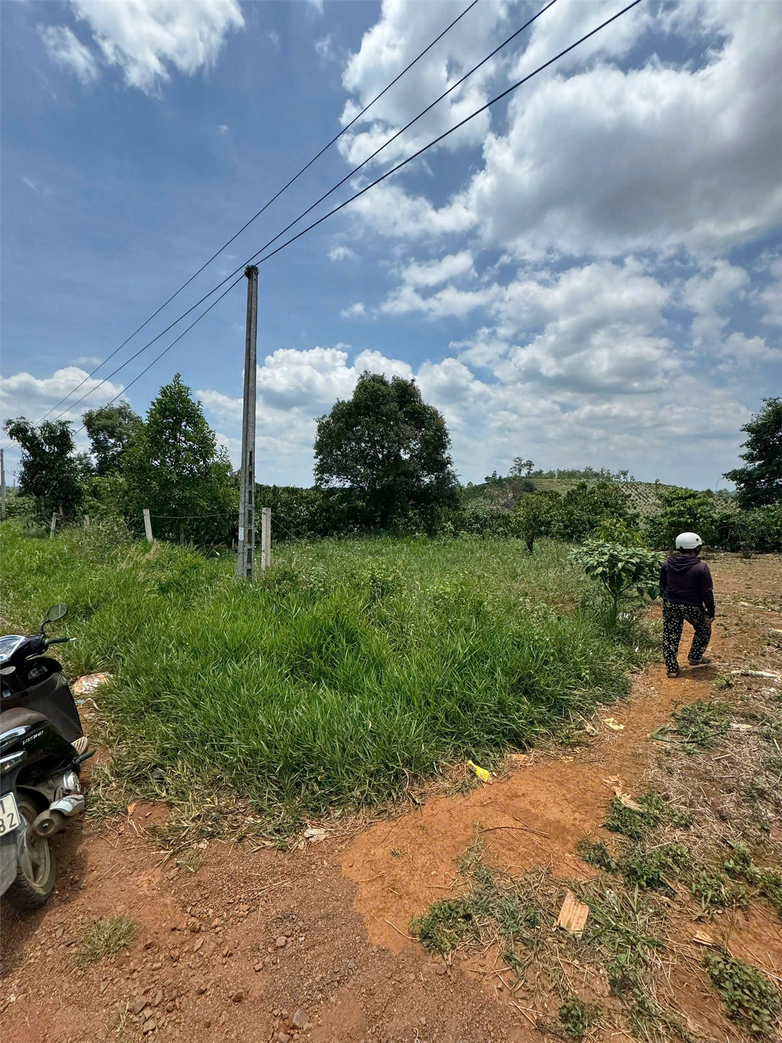 ĐẤT ĐẸP - GIÁ TỐT - Bán GẤP Đất Vị Trí Đẹp Tại Xã Đăk Som Đăk Glong Đăk Nông - Ảnh 2