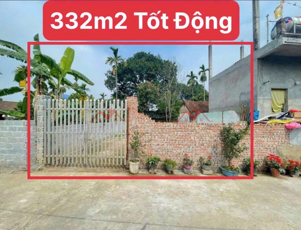 CHÍNH CHỦ CẦN BÁN LÔ ĐẤT 332M  TẠI TỐT ĐỘNG-CHƯƠNG MỸ-HÀ NỘI - Ảnh chính