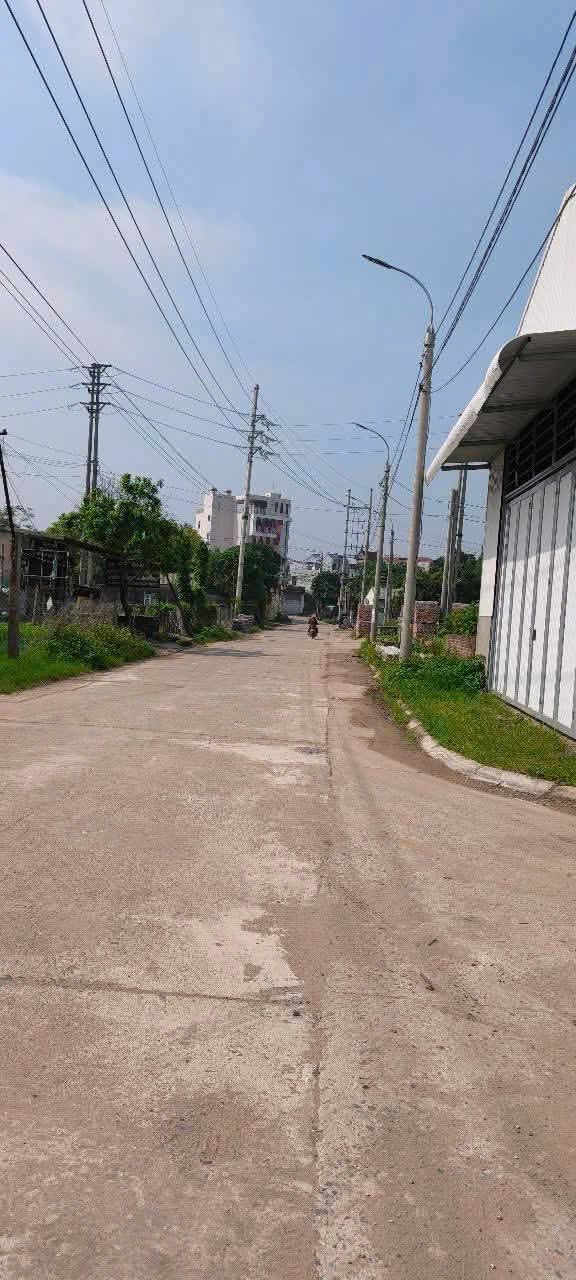 SIÊU PHẨM LÔ GÓC ĐẤU GIÁ VÂN TẢO GD1<br>💢 LÔ 14 - Ảnh 2