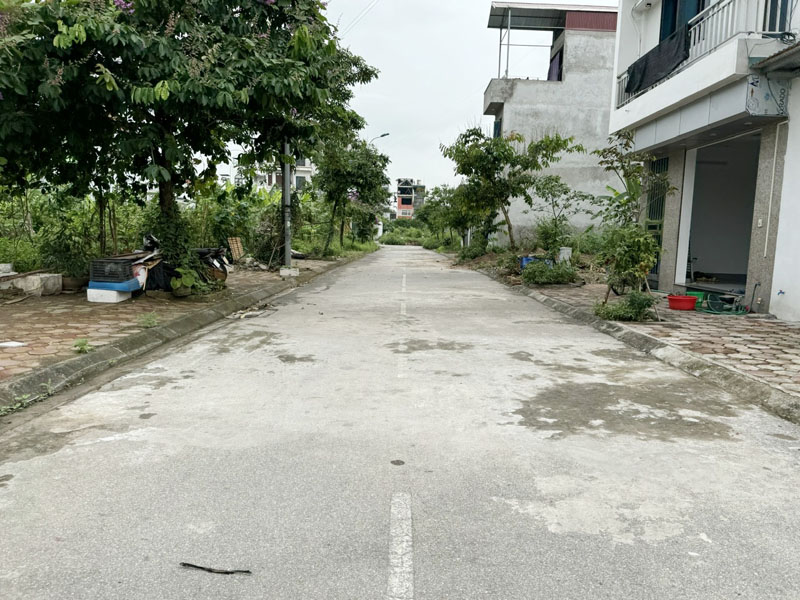 Bán gấp 79,5m2 đất tái định cư Trâu Quỳ, Phường Gia Lâm - View vườn hoa, đường ô tô tránh - Ảnh 4