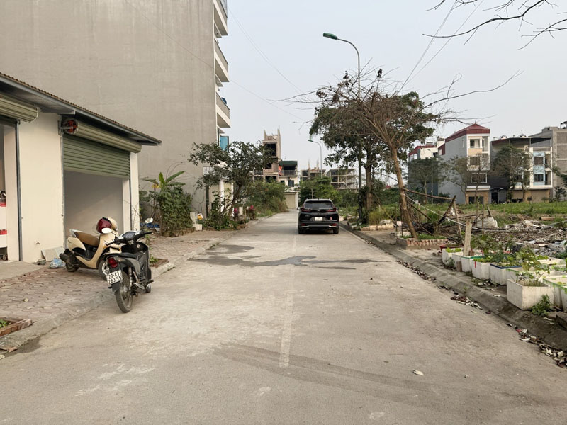 Bán gấp 79,5m2 đất tái định cư Trâu Quỳ, Phường Gia Lâm - View vườn hoa, đường ô tô tránh - Ảnh 5