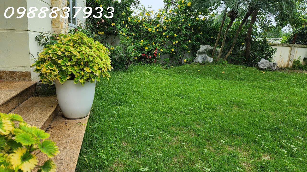Nhà cạnh hồ, TX Sơn Tây, view như Đà Lạt, cần bán gấp giá rẻ - Ảnh 4