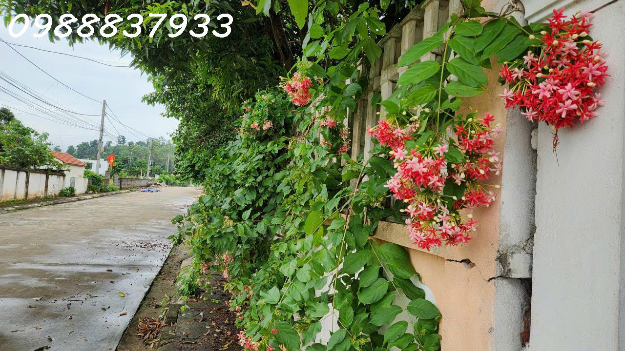 Nhà cạnh hồ, TX Sơn Tây, view như Đà Lạt, cần bán gấp giá rẻ - Ảnh 2