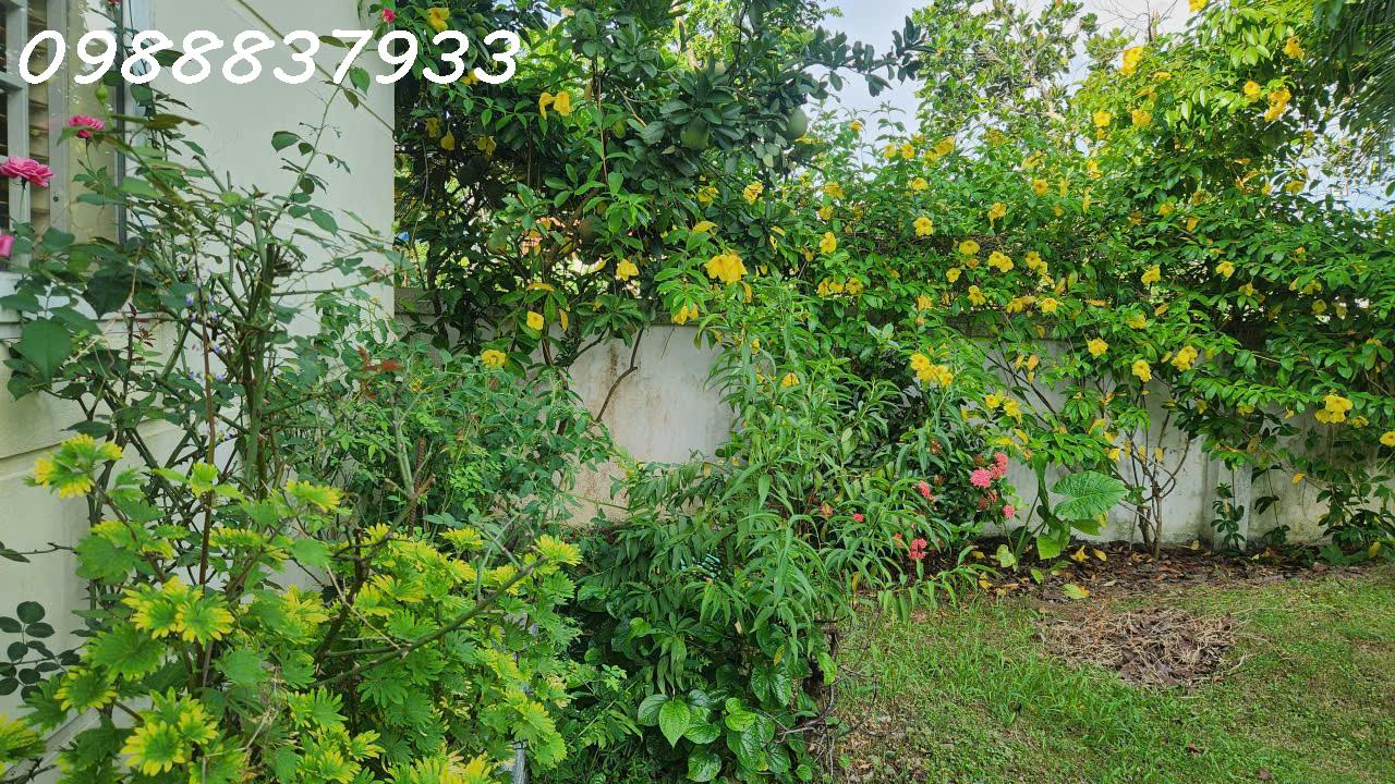 Nhà cạnh hồ, TX Sơn Tây, view như Đà Lạt, cần bán gấp giá rẻ - Ảnh 3