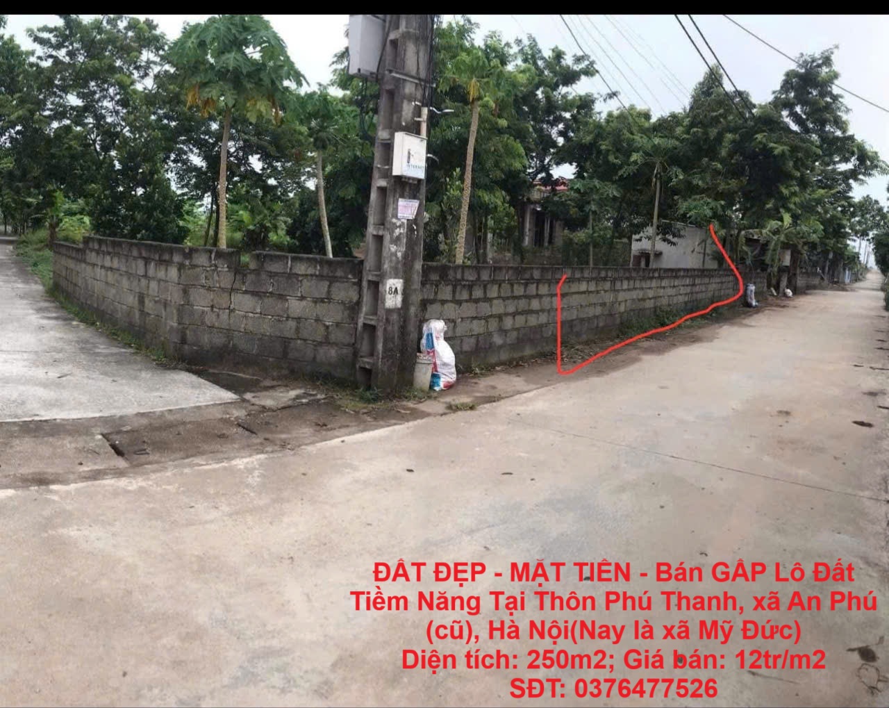 ĐẤT ĐẸP - MẶT TIỀN - Bán GẤP Lô Đất Tiềm Năng Tại Thôn Phú Thanh, xã An Phú (cũ), Hà Nội - Ảnh chính