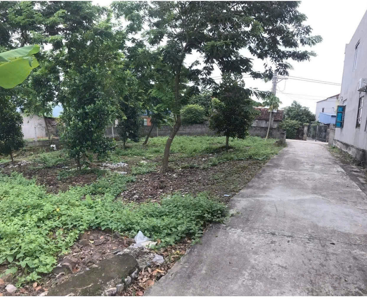 ĐẤT ĐẸP - MẶT TIỀN - Bán GẤP Lô Đất Tiềm Năng Tại Thôn Phú Thanh, xã An Phú (cũ), Hà Nội - Ảnh 2