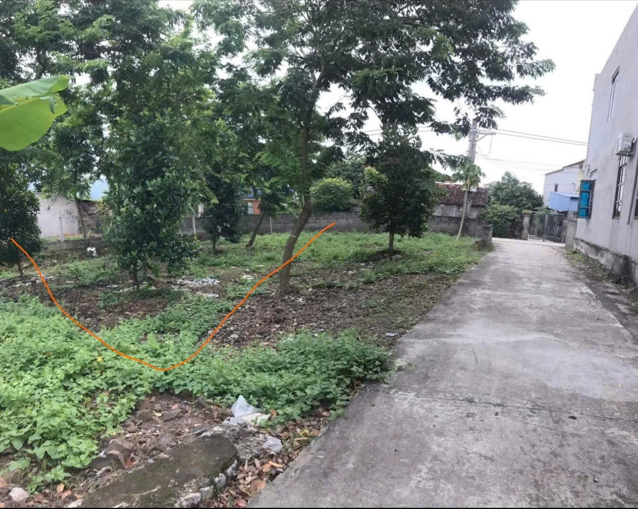 ĐẤT ĐẸP - MẶT TIỀN - Bán GẤP Lô Đất Tiềm Năng Tại Thôn Phú Thanh, xã An Phú (cũ), Hà Nội - Ảnh 3